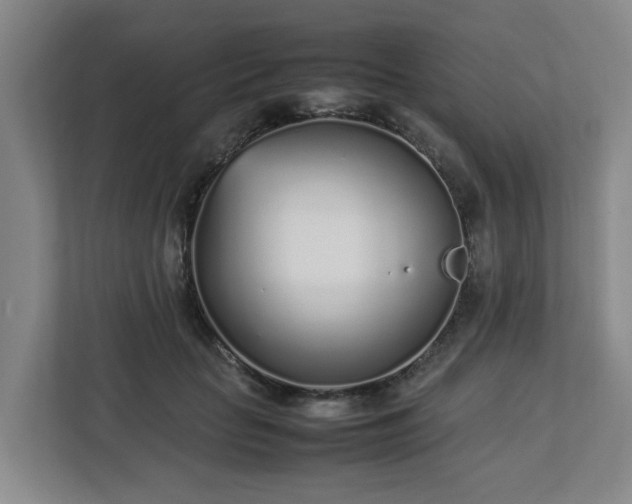 X0000113030653200909031252