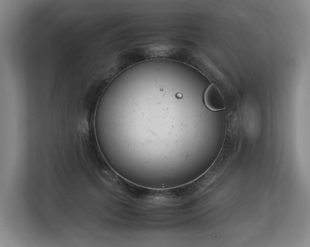 X0000113030655200909031252