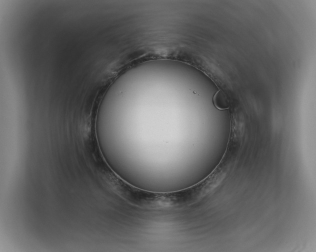 X0000113030656200909031252