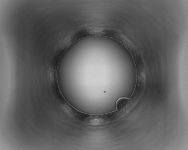 X0000113030658200909031252