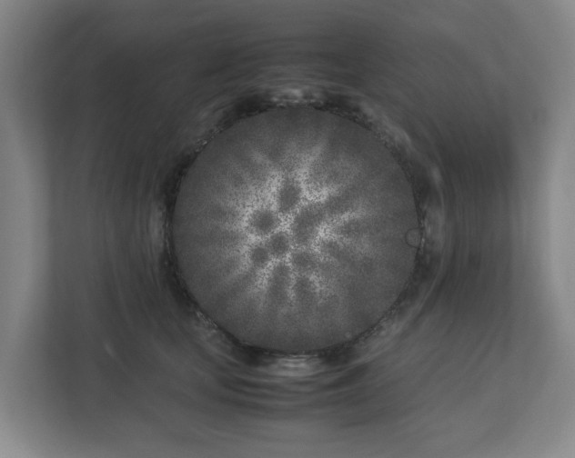 X0000113030659200909031252