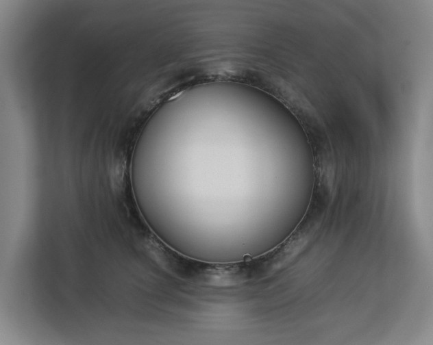 X0000113030660200909031253