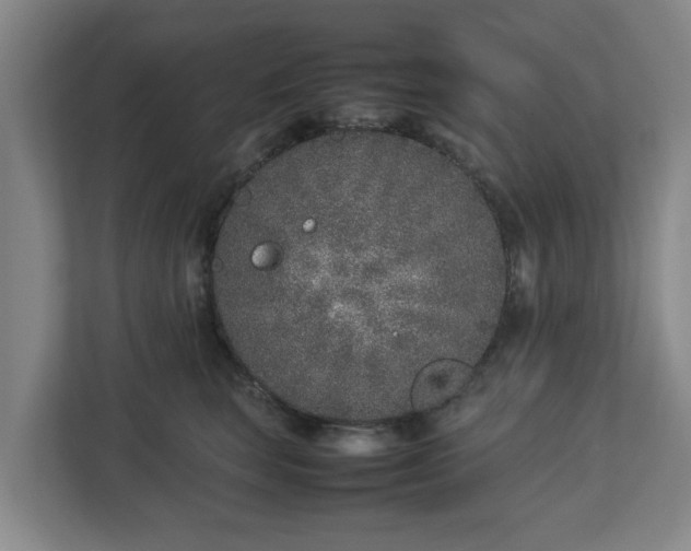 X0000113030663200909031253