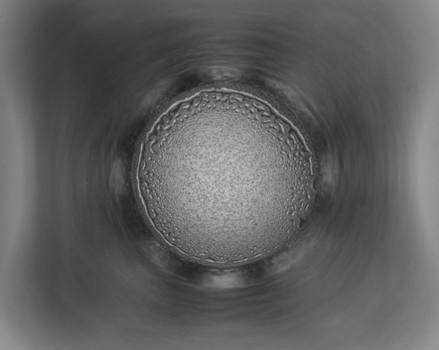 X0000113030667200909031253