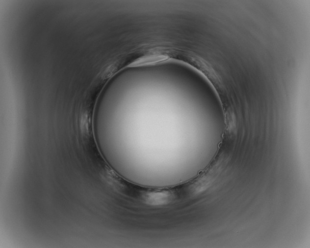 X0000113030669200909031253