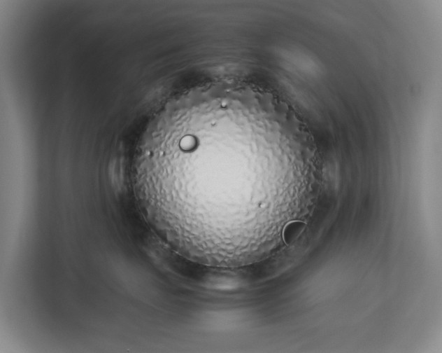 X0000113030671200909031253