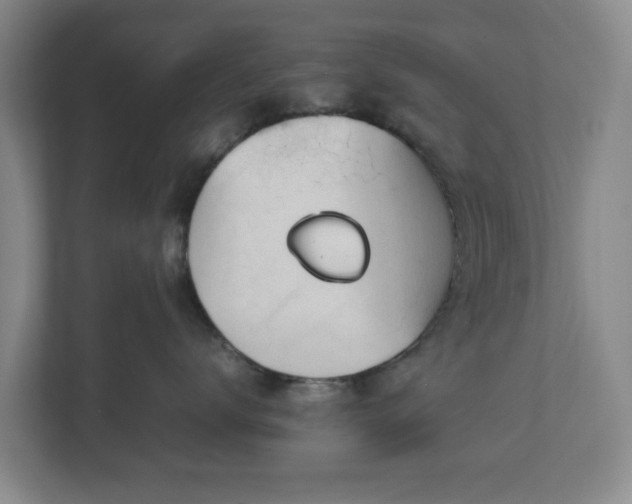 X0000113030672200909031253