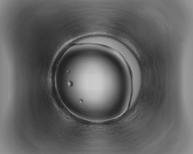 X0000113030676200909031252