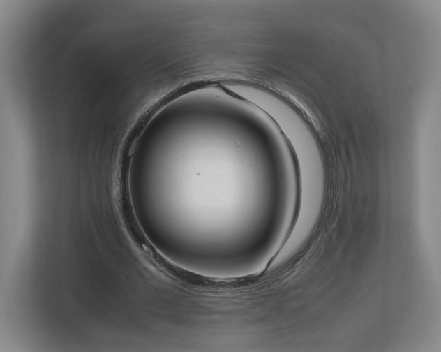 X0000113030677200909031252