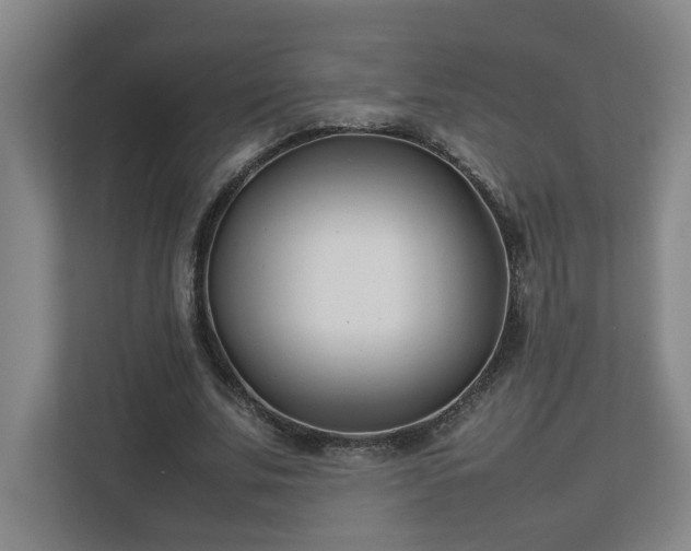 X0000113030679200909031252