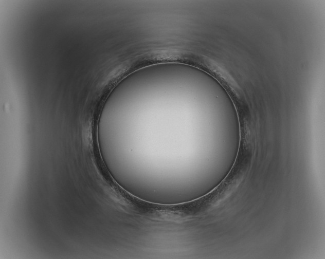 X0000113030681200909031252