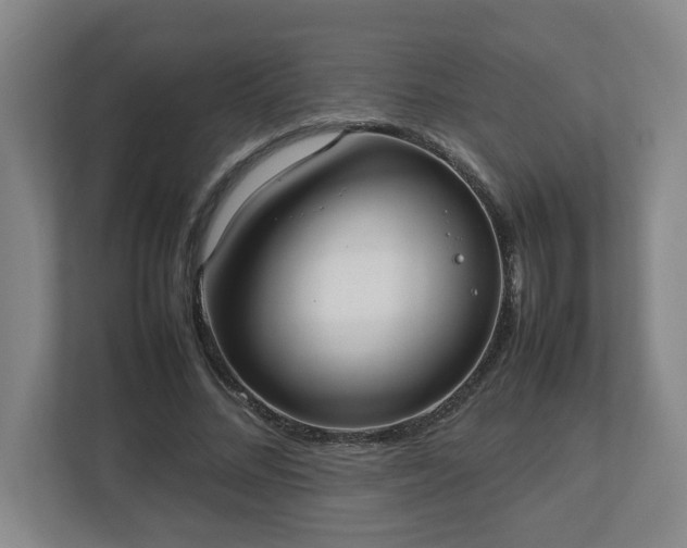 X0000113030684200909031252