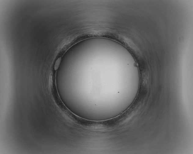 X0000113030685200909031252