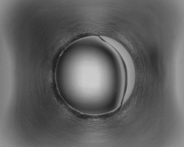 X0000113030689200909031252