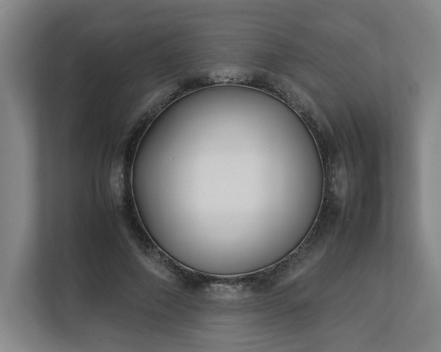 X0000113030690200909031252