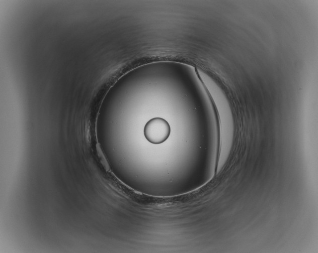 X0000113030692200909031252