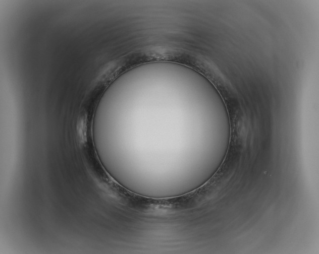 X0000113030694200909031252