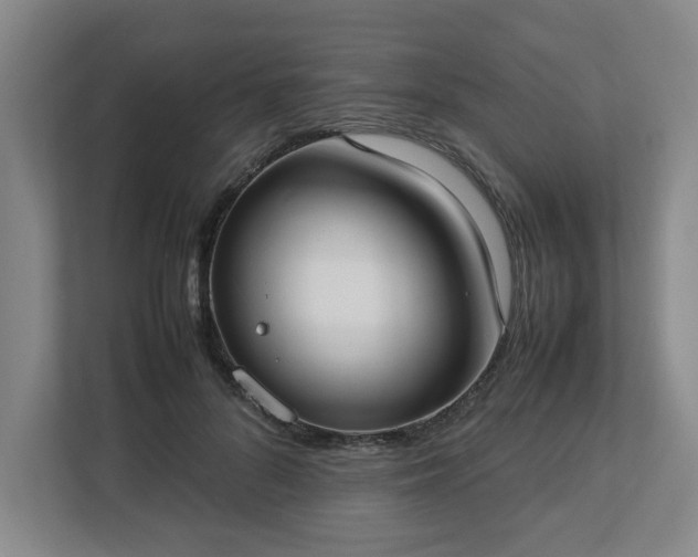 X0000113030696200909031252