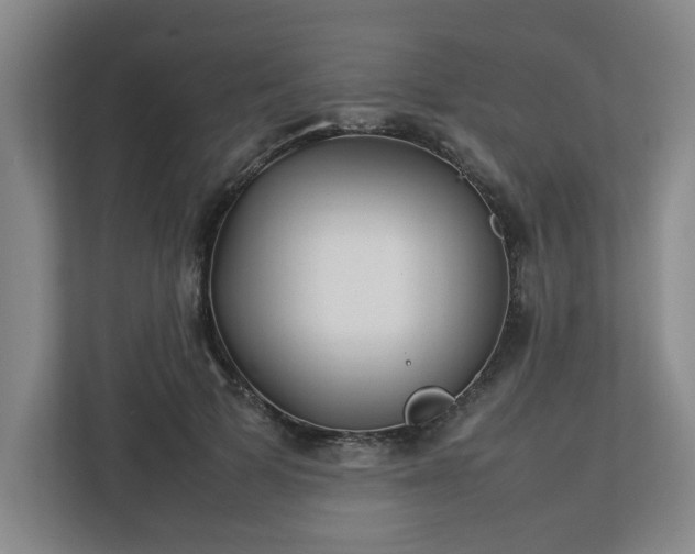 X0000113030697200909031252