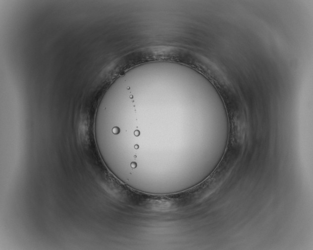 X0000113030698200909031252