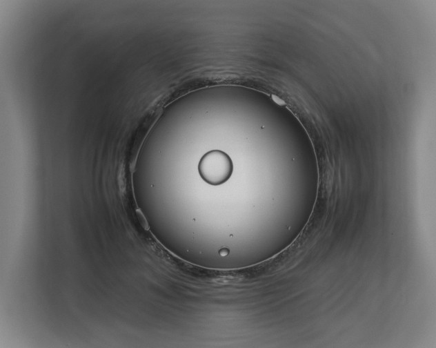 X0000113030700200909031252