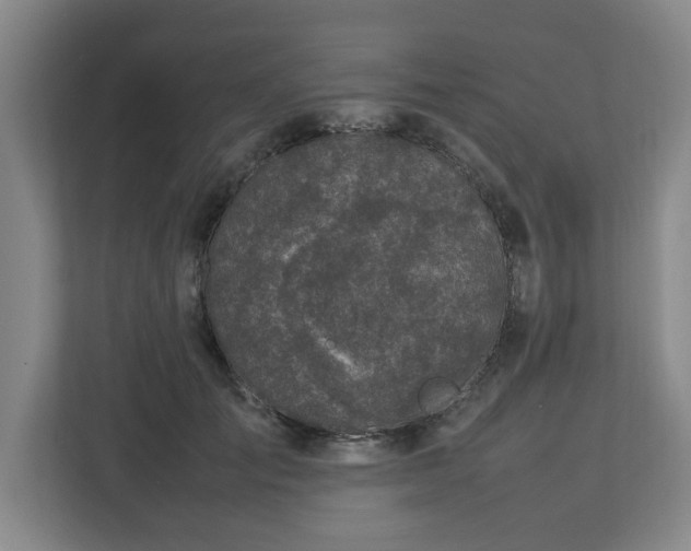 X0000113030701200909031252