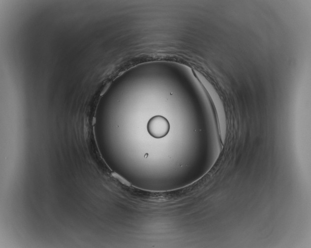 X0000113030704200909031252