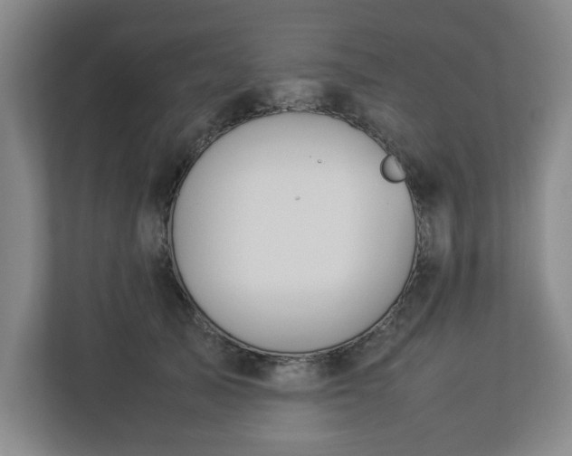 X0000113030705200909031252