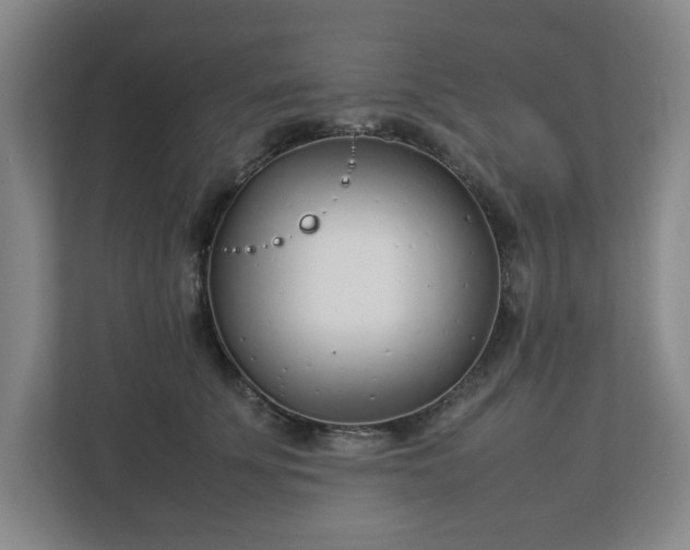 X0000113030707200909031252