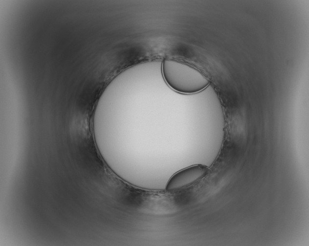 X0000113030709200909031252