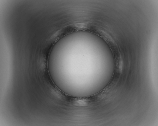 X0000113030710200909031252