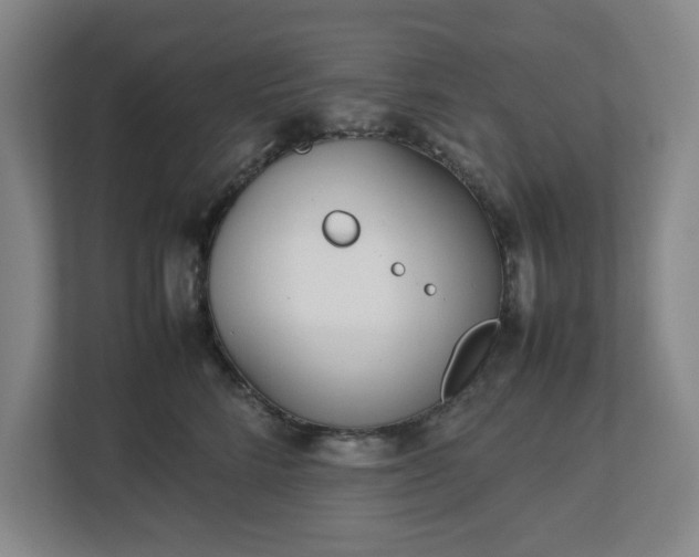 X0000113030712200909031252