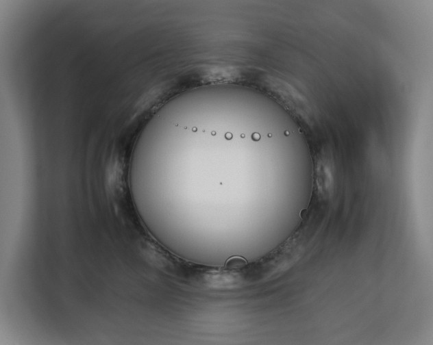 X0000113030714200909031252