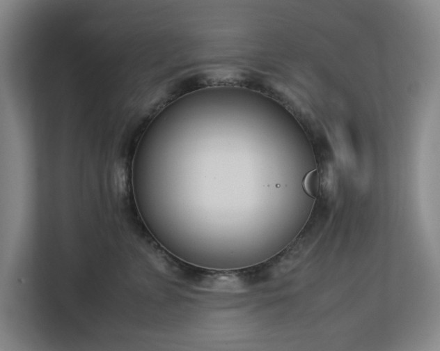 X0000113030715200909031251