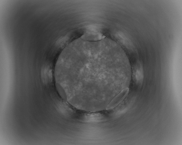 X0000113030716200909031251