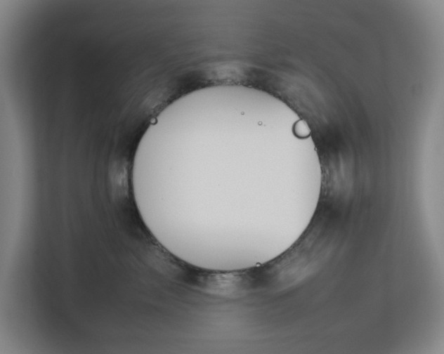 X0000113030717200909031251