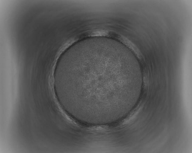 X0000113030721200909031251