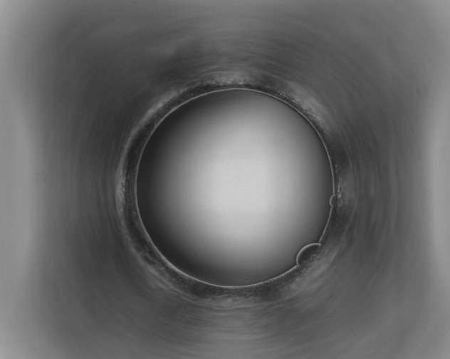 X0000113030722200909031251