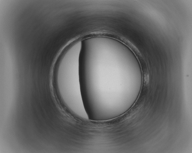 X0000113030724200909031251