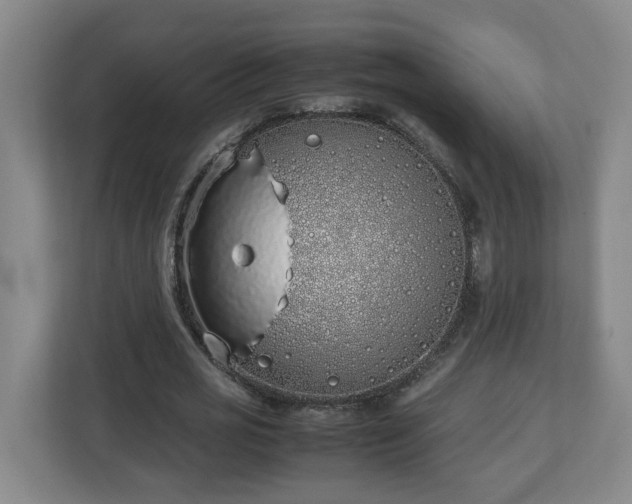 X0000113030725200909031251