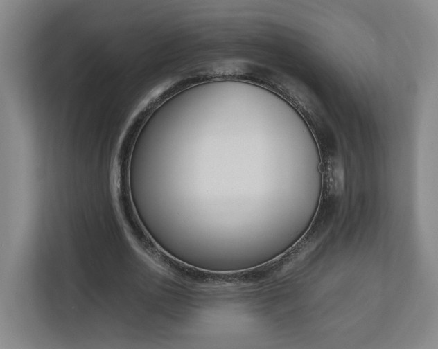 X0000113030726200909031251