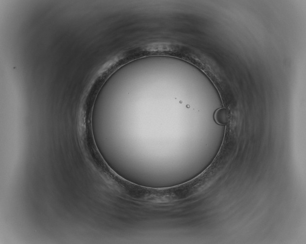 X0000113030727200909031251