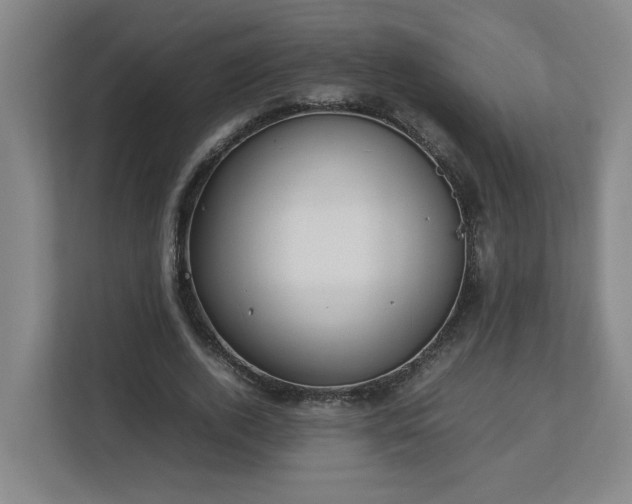 X0000113030728200909031251