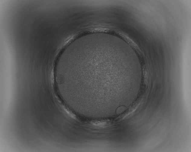 X0000113030729200909031251