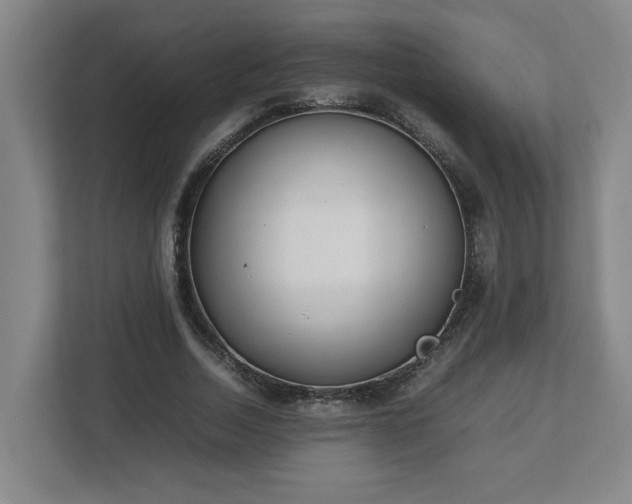 X0000113030730200909031251