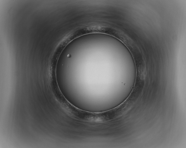 X0000113030735200909031251