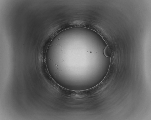 X0000113030739200909031251