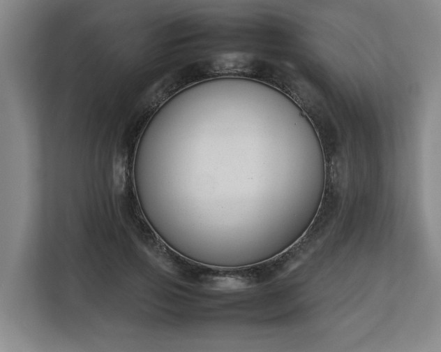 X0000113030741200909031251