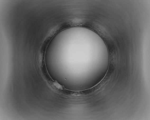 X0000113030742200909031251