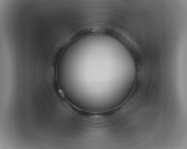 X0000113030748200909031251